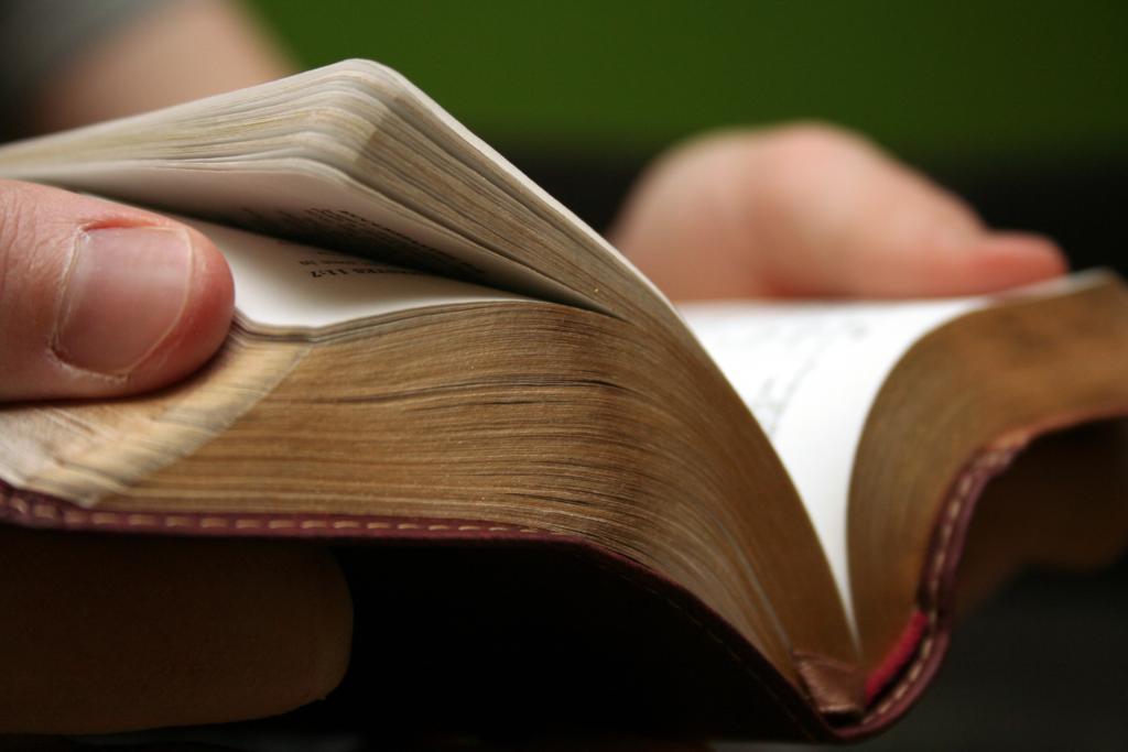 bible opened in hands close up